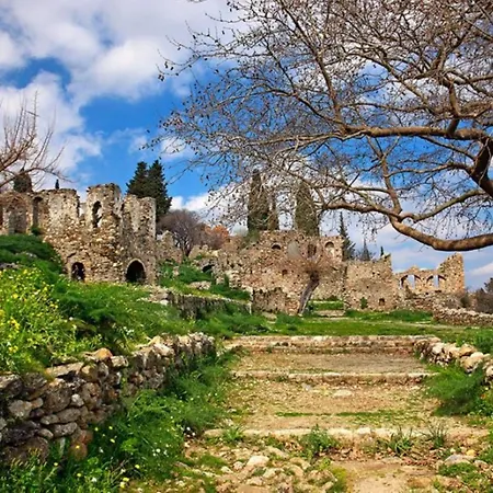 Olive And Orange Mystras