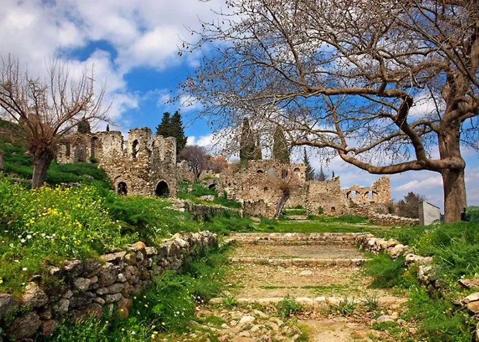 Olive And Orange Mystras